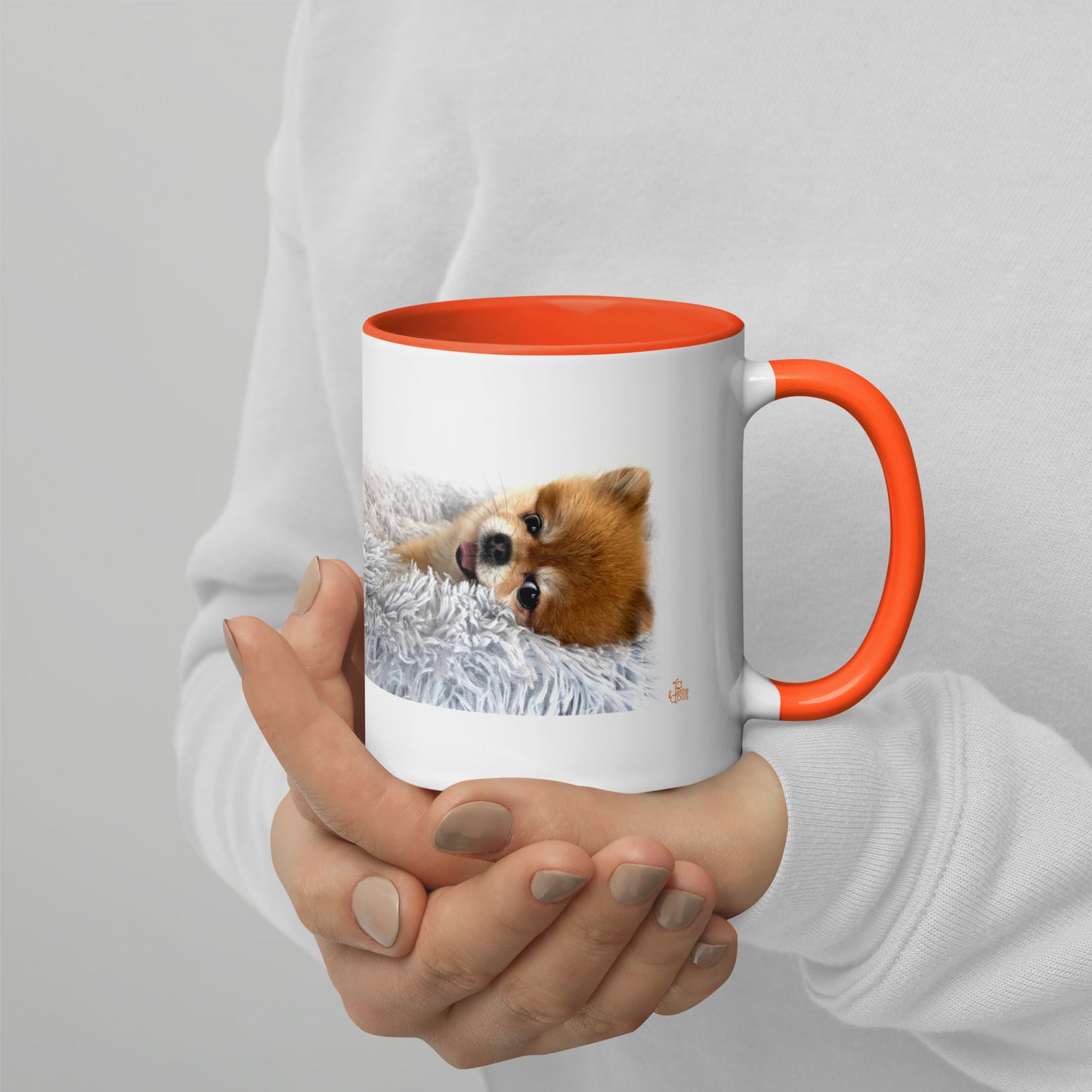 Pomeranian Coffee Mug - White with accent color