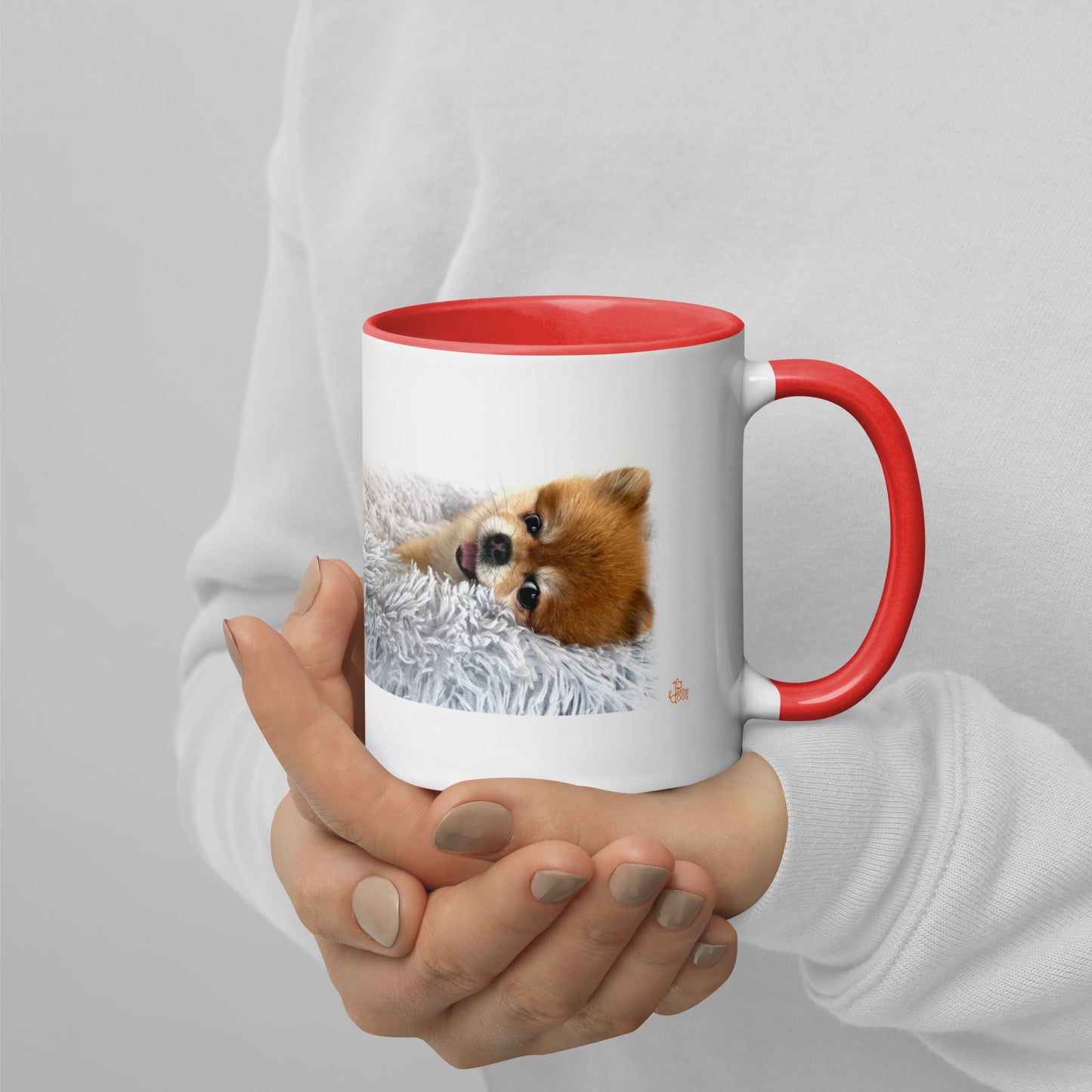 Pomeranian Coffee Mug - White with accent color