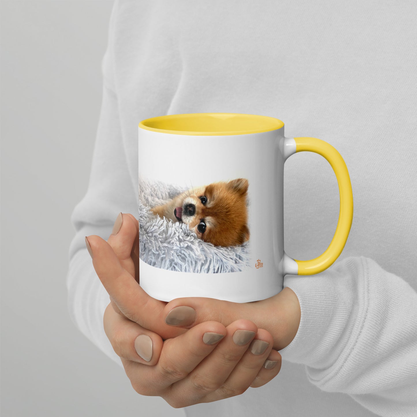 Pomeranian Coffee Mug - White with accent color